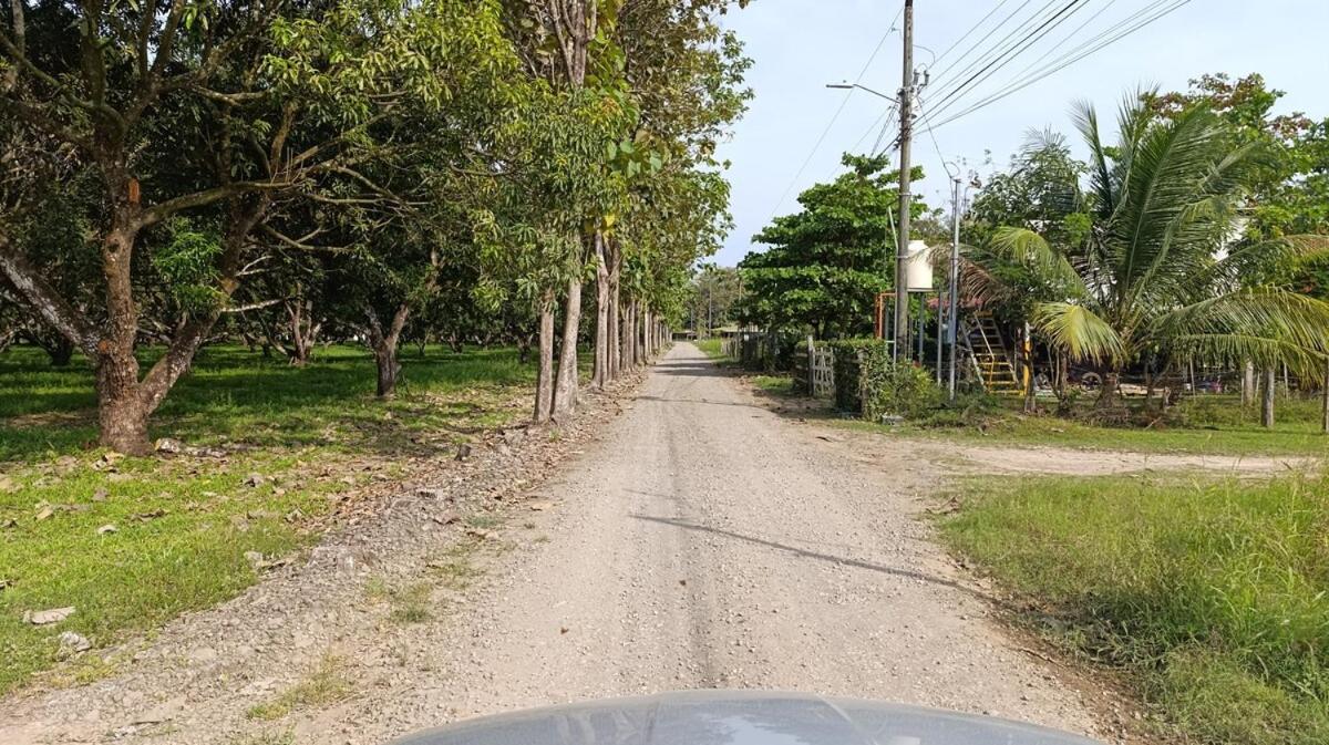 La Casa Del Raton, Relajate En El Campo Y La Playa Villa Paquera Ngoại thất bức ảnh